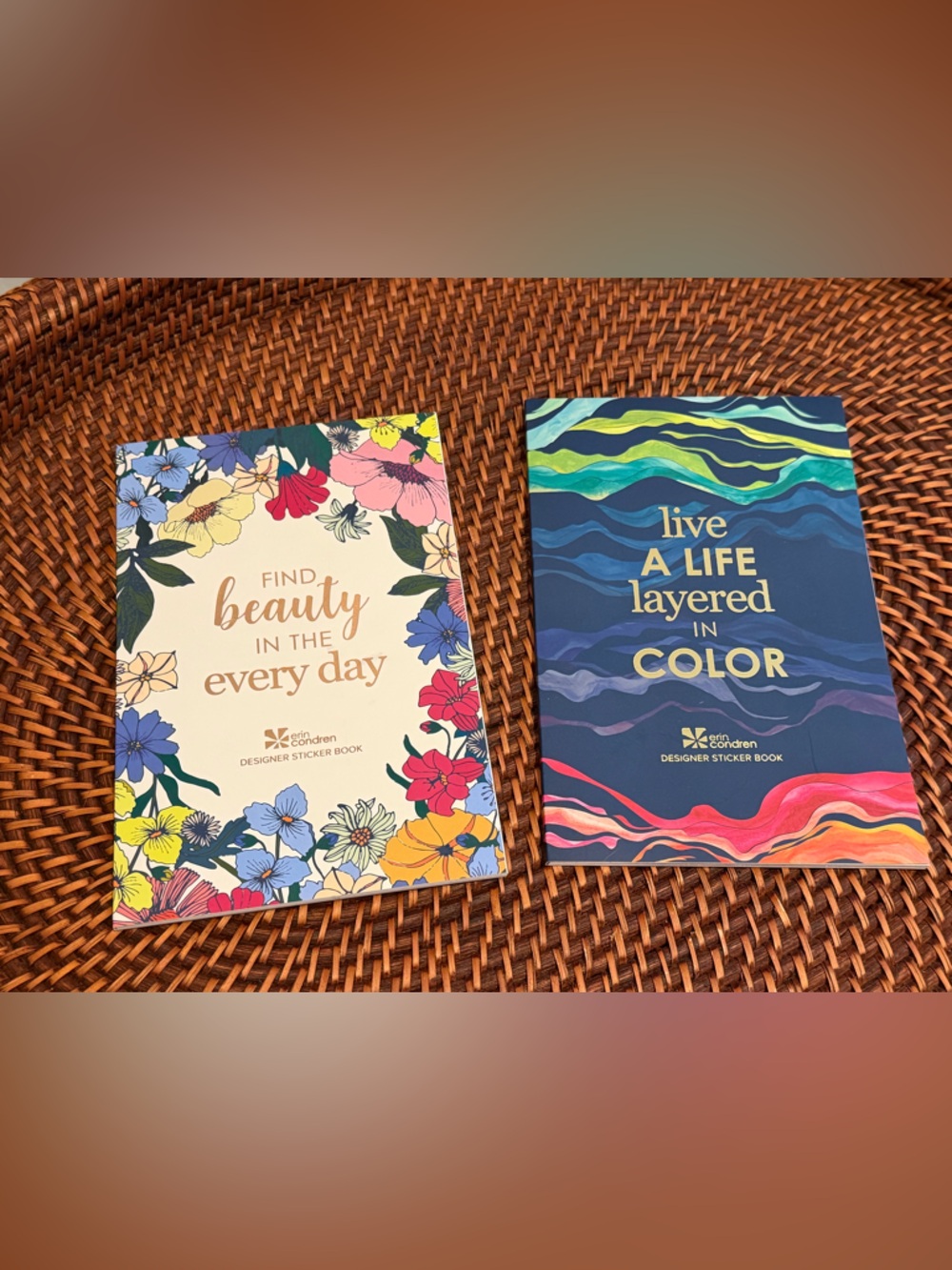 Erin Condren 2 Sticker Books and 6 NEW Sticker Sets